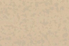 4347-Raphia