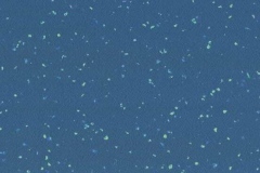 4476-Wattaru