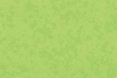 4527-Bamboo